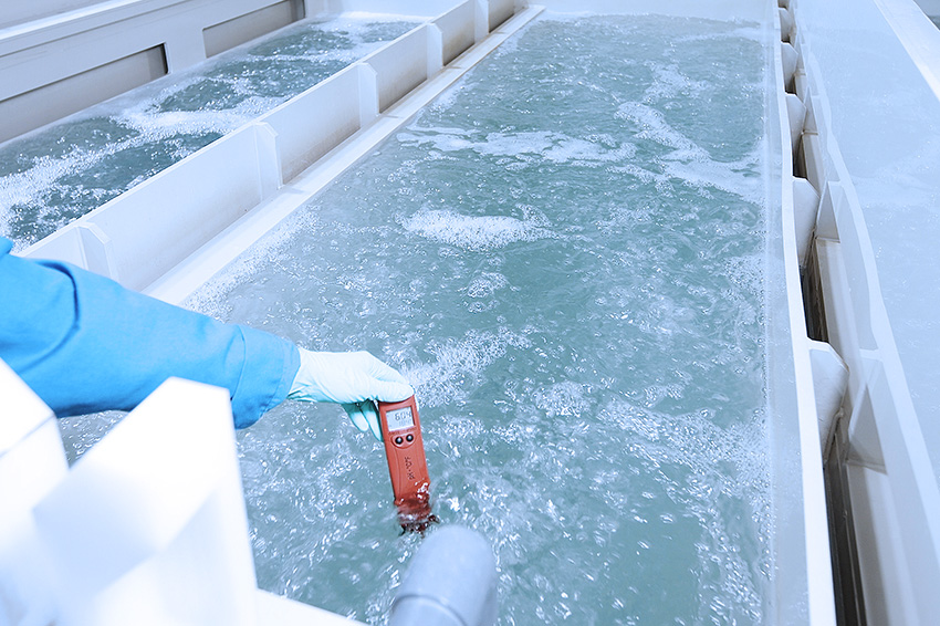 Temperaturprüfung im Tauchbecken